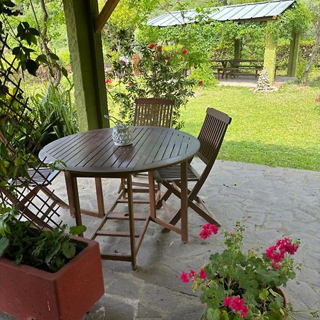 Casa Verde Country House Montescudaio Exterior photo