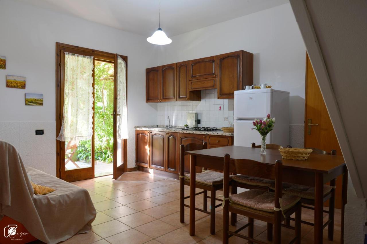 Casa Verde Country House Montescudaio Exterior photo